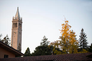 The Campanile and trees